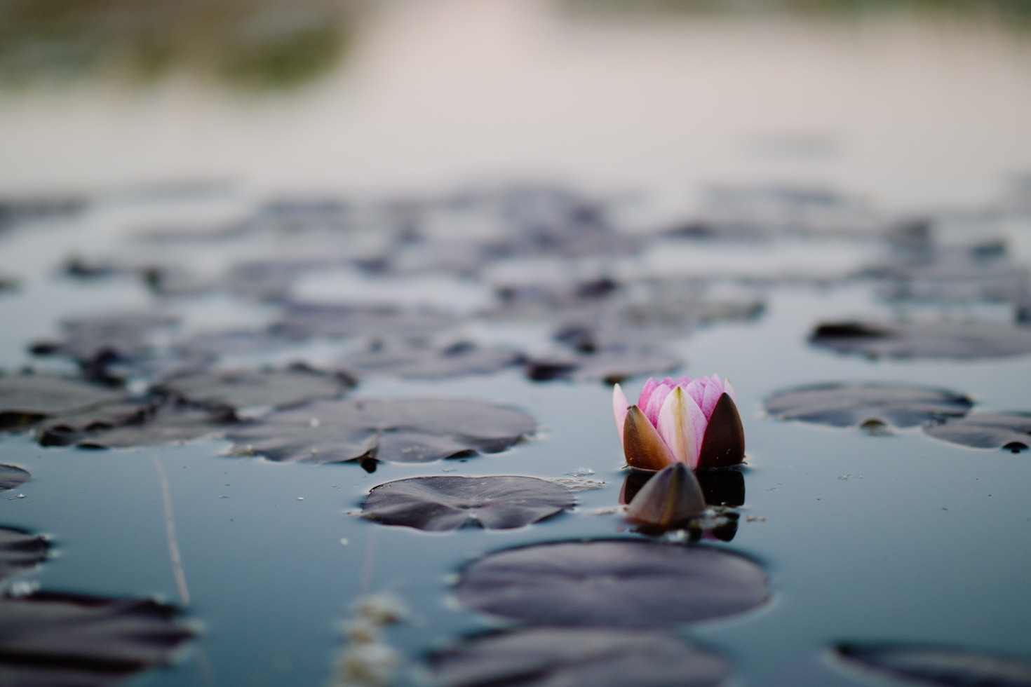 Top Practices for Deep Inner Work