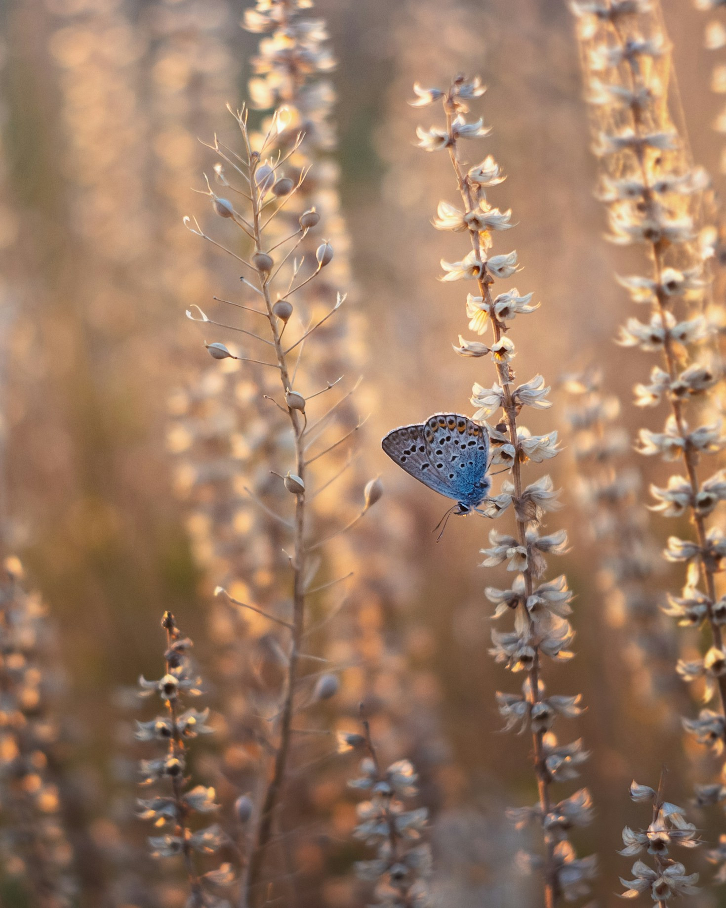How Spirituality Enhances Well-being